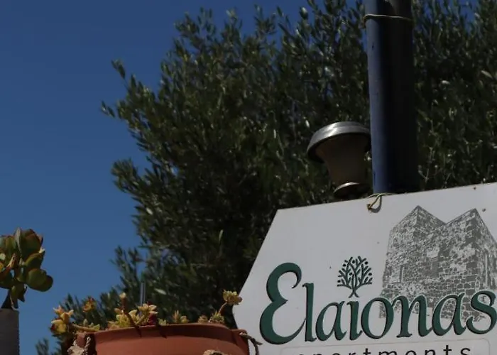 Elaionas 2 * Rínglia